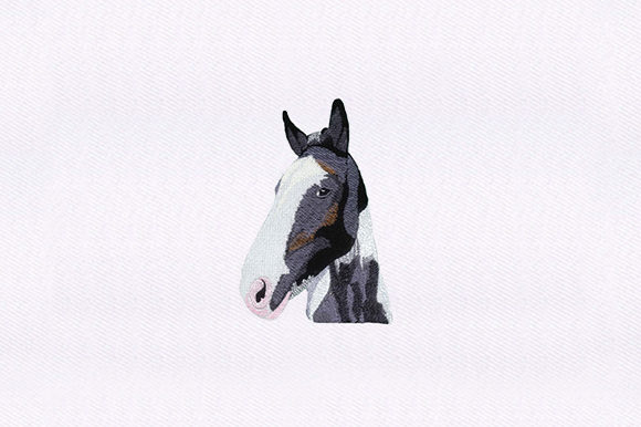 Detailed Horse Design: A Pro Embroidery Review for Boutique Sweatshirts